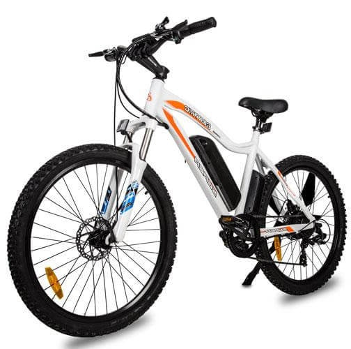 Ecotric leopard electric online mountain bike