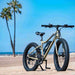 Emojo Wildcat Pro 500 Electric Bike at YBLGoods Emojo Electric Bikes