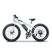 Emojo Wildcat Pro 500 Electric Bike at YBLGoods Emojo Electric Bikes