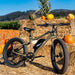 Emojo Wildcat Pro 750 Electric Bike at YBLGoods Emojo Electric Bikes