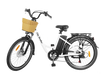 Nakto 36V Electric Bikes City Stroller - 250W - 6919609771263 Nakto Electric Bikes