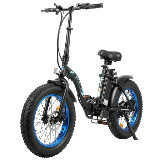Ecotric 36V Folding Fat Tire Electric Bike 20" -Dolphin - UL Certified - Black - C-DOL20LED-MBL-Z Ecotric Electric Bikes